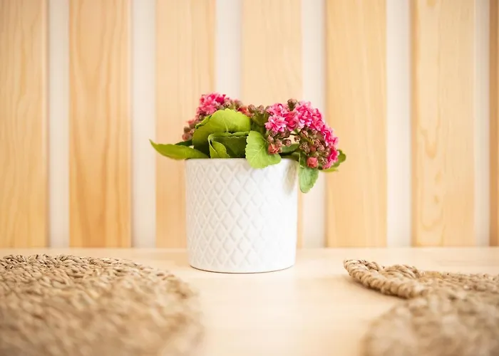 Ferienhaus Iris - Dream *