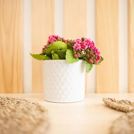 Casa de Férias Iris - Dream *